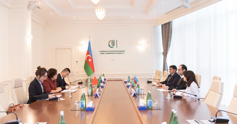 Nazir Məcnun Məmmədov Çinin Azərbaycandakı səfiri ilə görüşüb