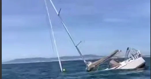 Balinalar yaxtaya hücum etdilər, onu batırdılar