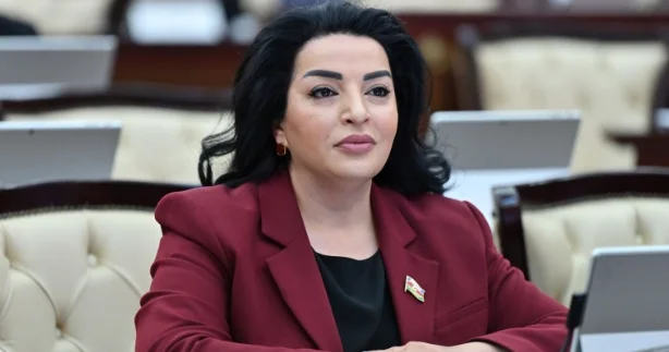 Deputatdan təklif: Çinarları qorumaq üçün “Yaşıl İrs Reyestri” yaradılmalıdır