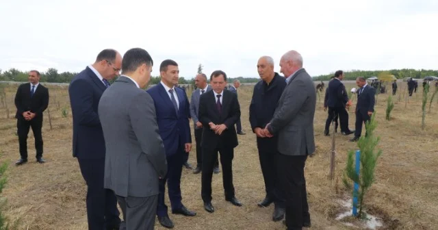 Qazaxda ağacəkmə aksiyası keçirildi FOTOLAR