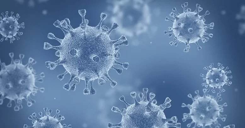 Yeni virus bir çox bölgəyə yayıldı: Ölənlərin sayı artır
