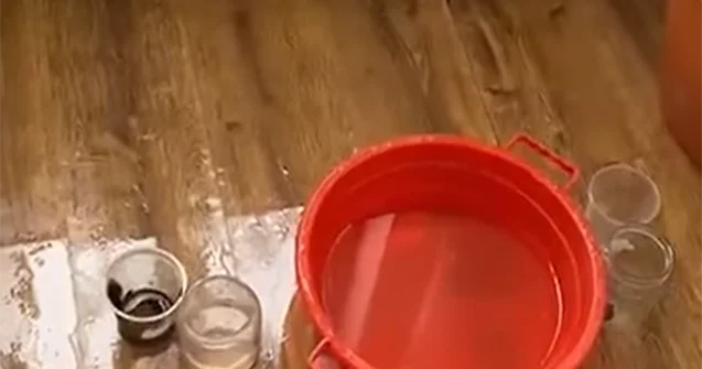 O görüntülərlə bağlı “Qaçqınkom”dan Açıqlama