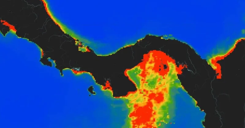 Müşahidələr tarixində ilk dəfə Panama körfəzində “apvellinq” baş verməyib