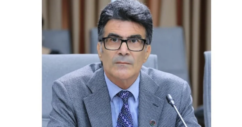 “Deputatlar təklif verir, ancaq əsaslandıra bilmirlər” Hüquq müdafiəçisi