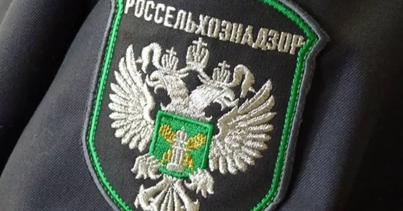 Россельхознадзор уничтожил сотни килограмм животноводческой продукции из Азербайджана
