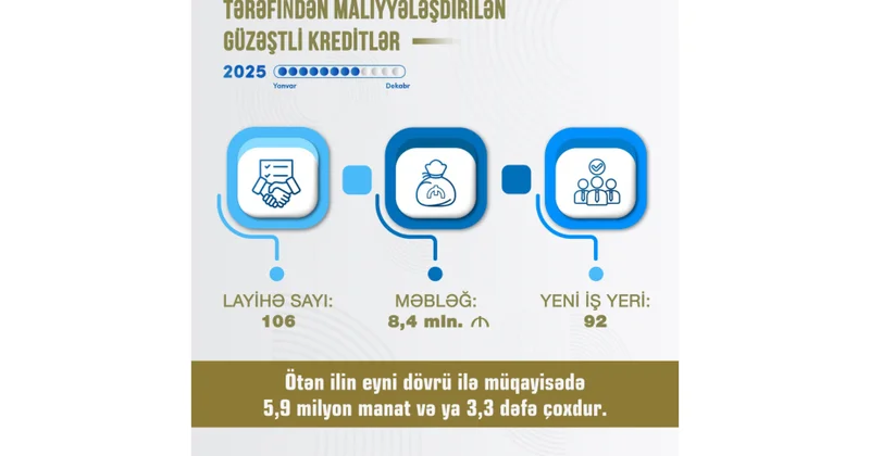 Naxçıvanda sahibkarlara 8,4 milyon manat güzəştli maliyyə dəstəyi göstərilib