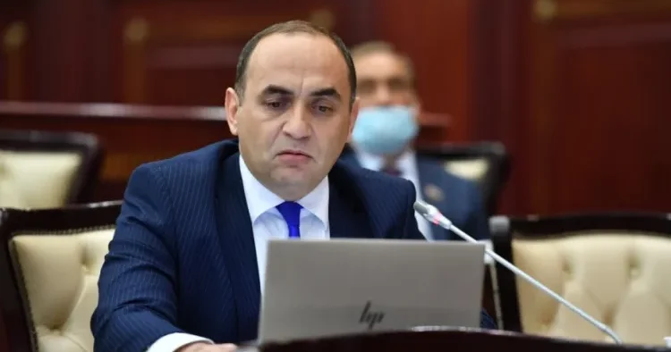 Hamını günahkar çıxarmaqla məşğul olacaqsansa, iş olmayacaq Deputat