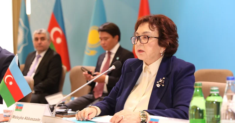 Məleykə Abbaszadə: Dövlət qulluğuna qəbul prosesinin bütün mərhələləri rəqəmsallaşdırılıb