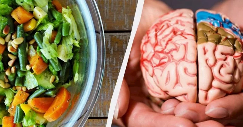 Alimlər beyni yaşlanmadan qorumağa kömək edən qidanı açıqladı