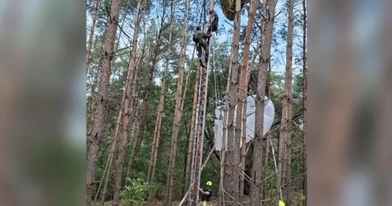 Элитный десант НАТО застрял на деревьях