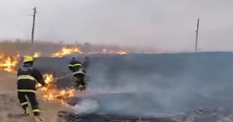 Yardımlıda açıq ərazidə yanğın olub Video