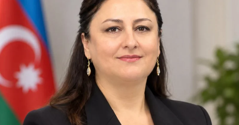 Ermənistan cəmiyyətində regiondakı yeni reallıqların dərki ilə bağlı hələ də ciddi problemlər mövcuddur RƏY