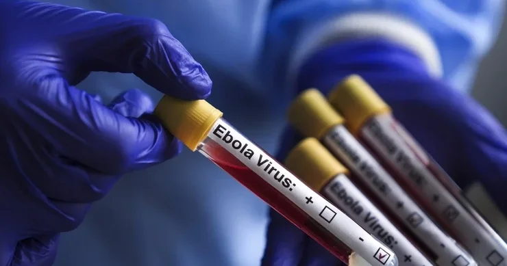 Konqoda Ebola epidemiyası yayılmaqda davam edir