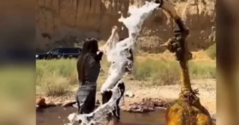 Bu görüntü “daha Badamlı içməyəcəyəm” etirazına səbəb oldu Amalyanın videosu