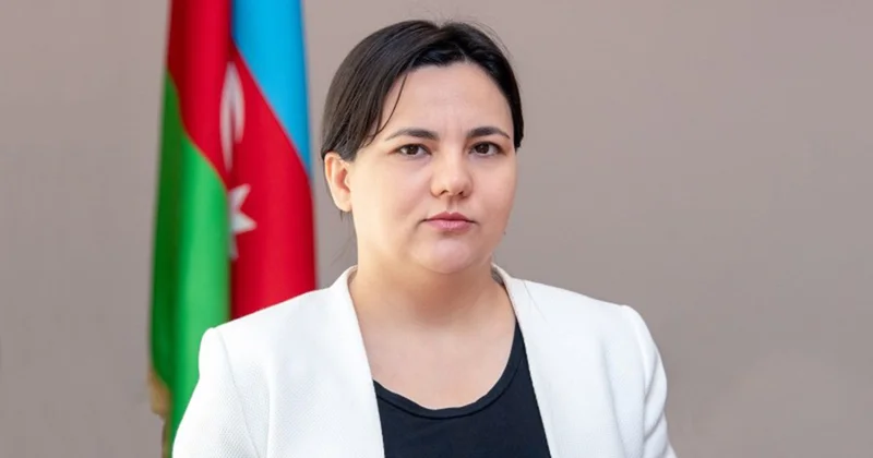 “Buna görə yeni üsullar düşünməliyik”