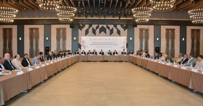 Şamaxıda “Üzümçülük və şərabçılığın inkişaf perspektivləri” mövzusunda konfrans keçirilib