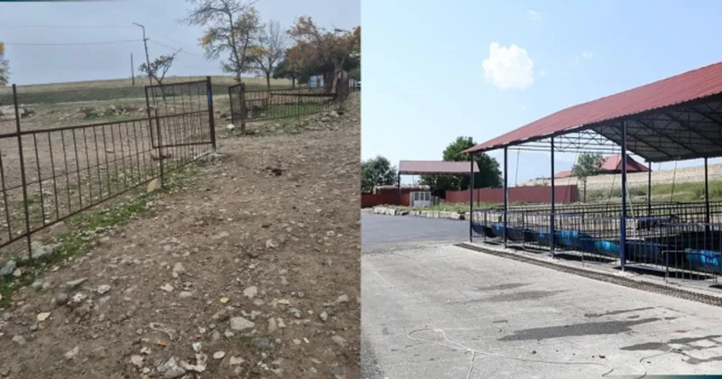 Bu rayonlarda heyvan bazarları fəaliyyətə başladı