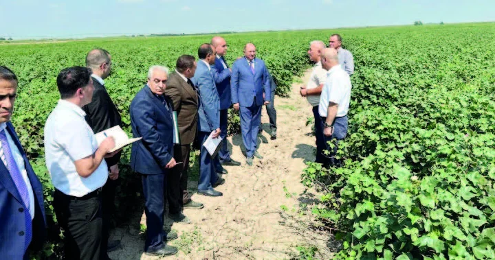 Aqrar Proqramın icrası sürətlənib