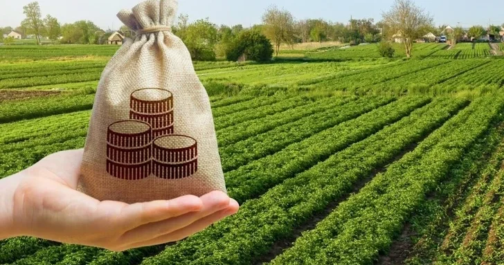 В Азербайджане фермеры смогут получать деньги под будущий урожай: готовится новый механизм