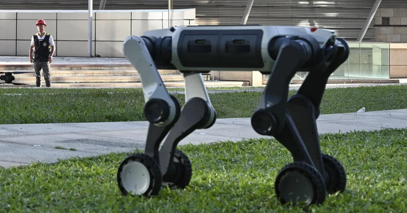 Çin polisinin ağıllı köməkçiləri: Təhlükəsizliyi robot itlər qoruyacaqlar