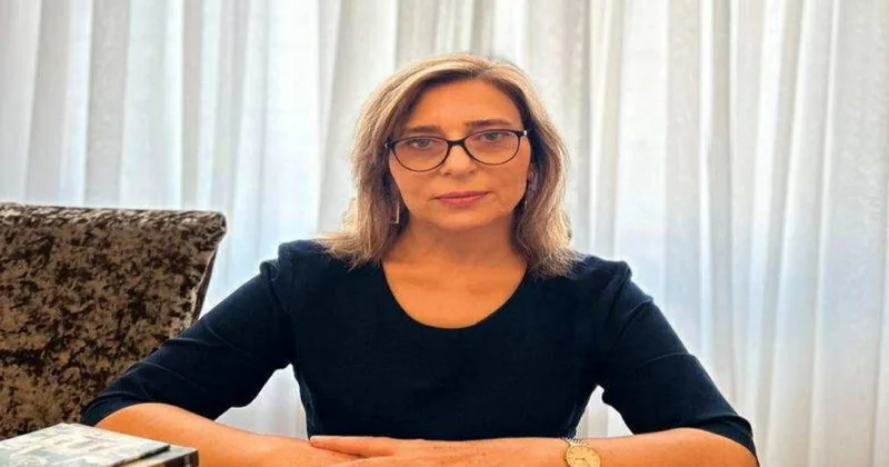 Çəhrayı çobanyastığı Sara ibrahimin romanından hissə