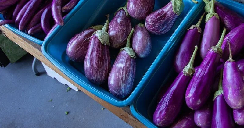 Kimlər üçün badımcan təhlükəlidir?