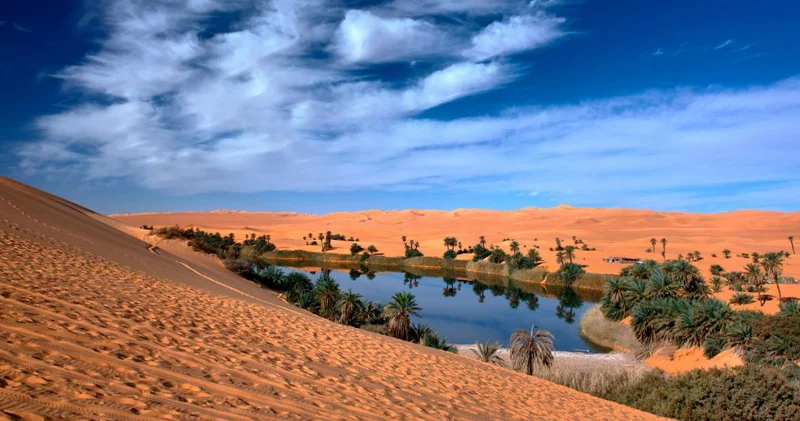 Sahara əsrin sonunda yaşıllaşacaq: Afrikada yağışlar dövrü olacaq