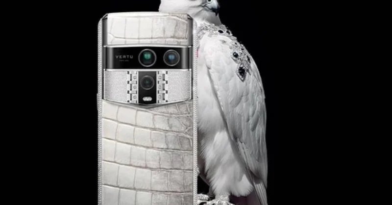 Vertu bazara qayıdır İçi qızıl, üstü timsah dərisi...