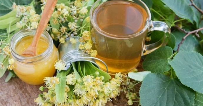 Yaşıl çay və cökə çiçəklərindən Ən şəfalı çay