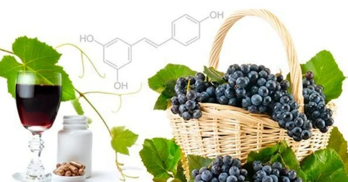 RESVERATROL nə üçün xeyirlidir? Qırmızı şərab və üzümdə daha çoxdur