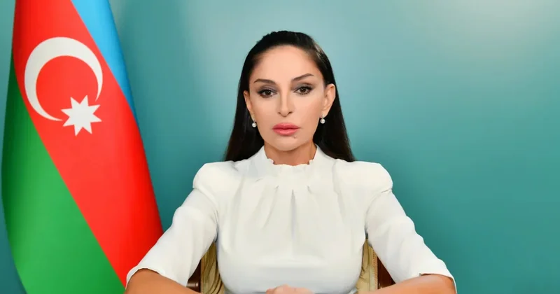 Публикация Мехрибан Алиевой