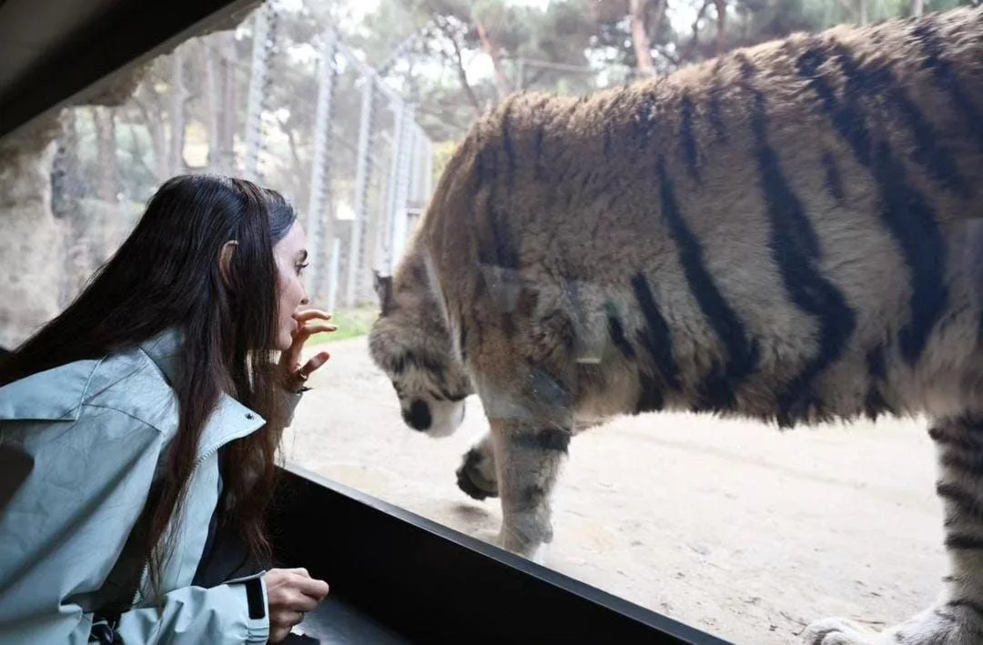 Leyla Əliyeva Bakı zooparkından paylaşım etdi FOTOLAR