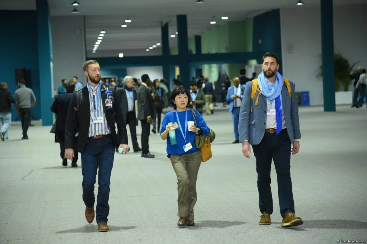 COP29un səkkizinci günündən FOTOREPORTAJ