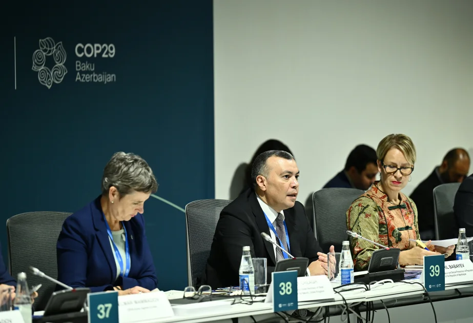 COP29: İnnovativ həllərin tətbiqi və yaşıl iş yerlərinin inkişafı ilə bağlı uğurlu təcrübələr müzakirə olunub AZƏRTAC