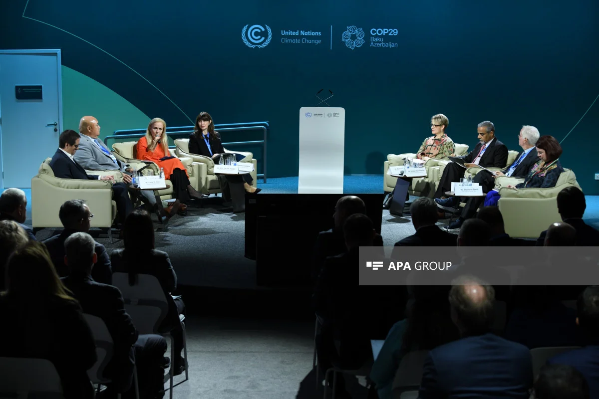 COP29 çərçivəsində İqlim Dayanıqlı Gələcək üçün İnsan İnkişafına İnvestisiya üzrə tədbir keçirilir FOTO