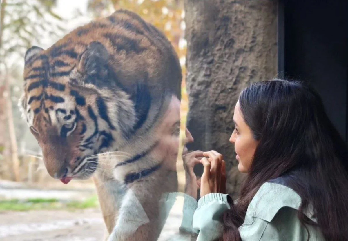 Leyla Əliyeva Bakı Zooloji Parkında FOTO