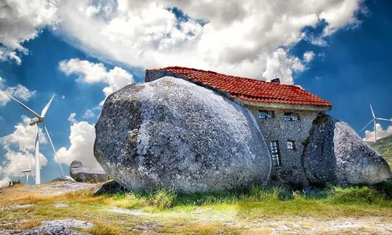 Günün fotosu