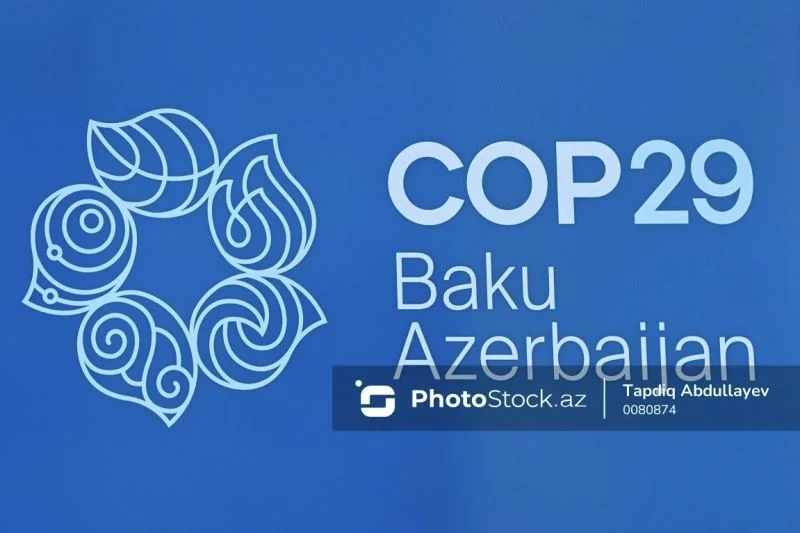 COP29da türk dövlətləri QHTlərinin birgə iqlim təşəbbüslərinə dair forum keçirilib