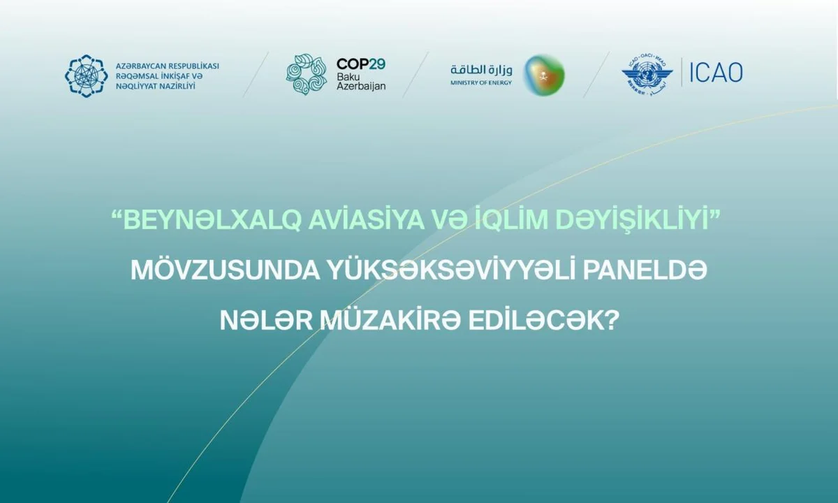 В рамках COP29 состоится мероприятие на тему Международная авиация и изменение климата