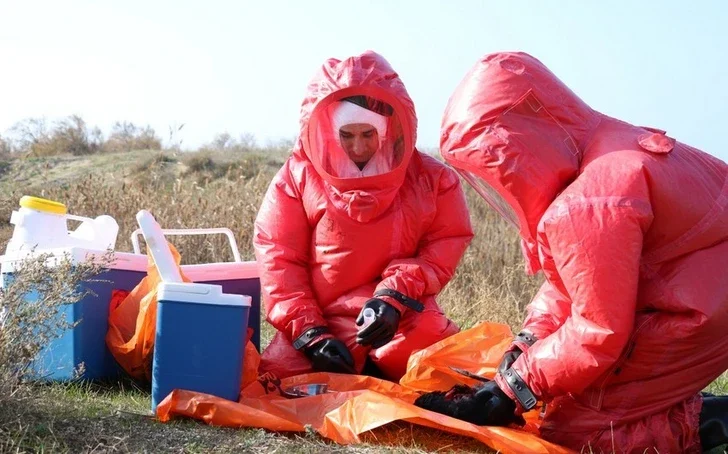 ВОЗЖ: В Азербайджане нет высокопатогенного птичьего гриппа Новости Азербайджана