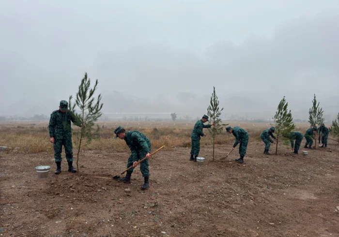 İşğaldan azad edilmiş ərazilərdə ağacəkmə aksiyası