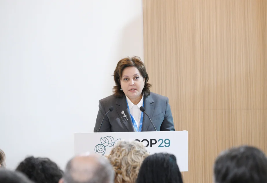 COP29da Xəzər müzakirə olunub