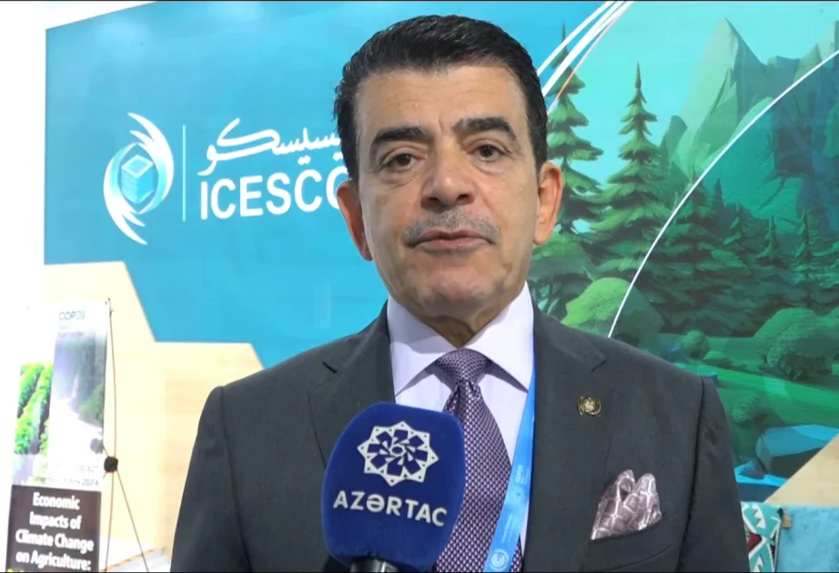 ICESCOnun Baş direktoru: Əgər iqlim proseslərini nəzərdə saxlamasaq, öz mədəniyyət irsimizi itirə bilərik VİDEO AZƏRTAC