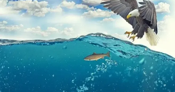 Nadir hadisə: bu yerlərə göydən balıq yağır