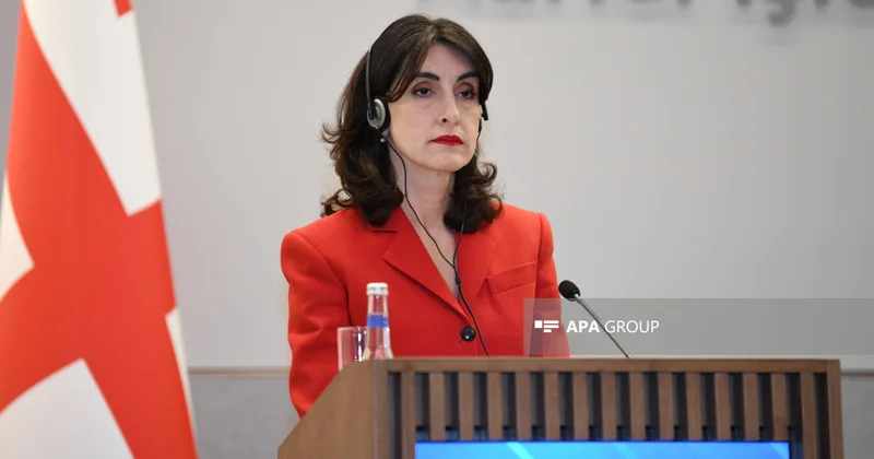 Boçorişvili: Gürcüstanı vizasız rejimin ləğvi ilə hədələmək üçün əsas yoxdur