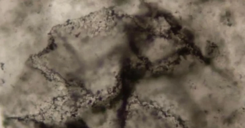 3 milyard ildən qədim qayalarda həyat izləri tapıldı