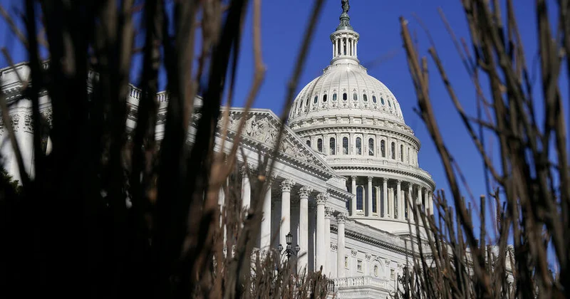 США обнародуют все материалы по делу Эпштейна ВИДЕО