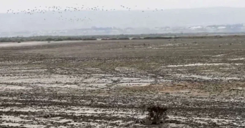 Ən böyük göllərimizdən biri təhlükədə Demək olar ki, quruyub VİDEO
