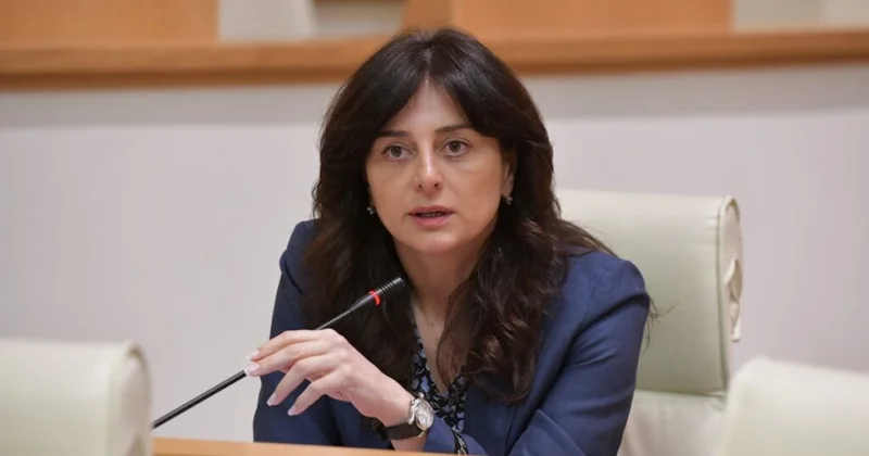 Komitə sədri: Gürcüstan Azərbaycanla Ermənistan arasında sülh irəliləyişini alqışlayır