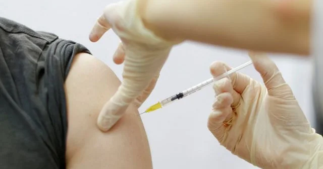 Peyvənd üçün ən yaxşı vaxt bu aylardır AÇIQLAMA